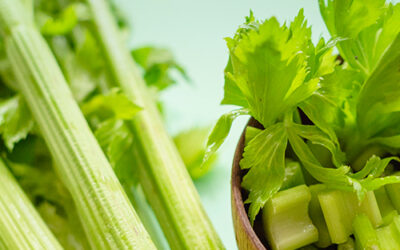 Why Choose Fresh Juice?