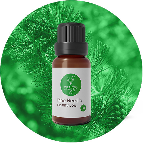 Pine Pollen Ginseng Tincture
