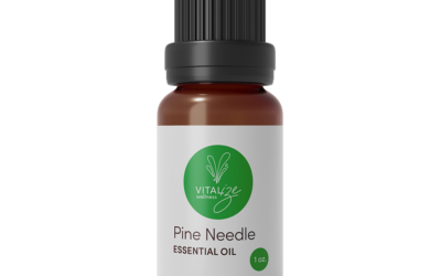 Pine Needle Essential Oil