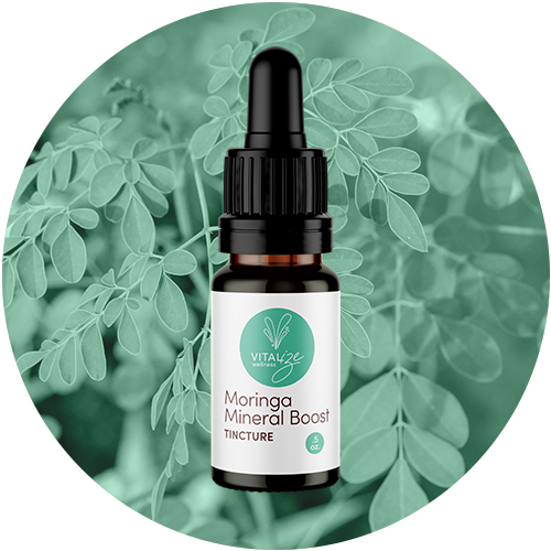Pine Pollen Ginseng Tincture