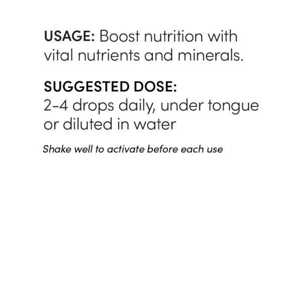 Moringa Mineral Boost - Image 3