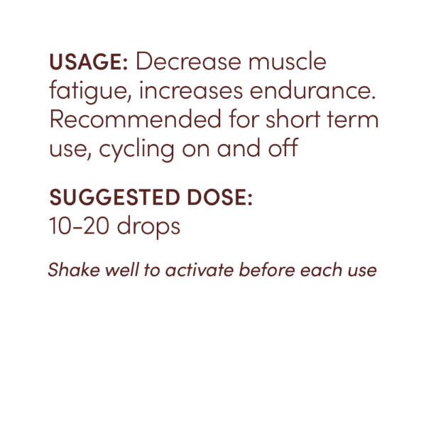 Recovery Support - Image 3