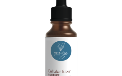 Anti-Aging Support