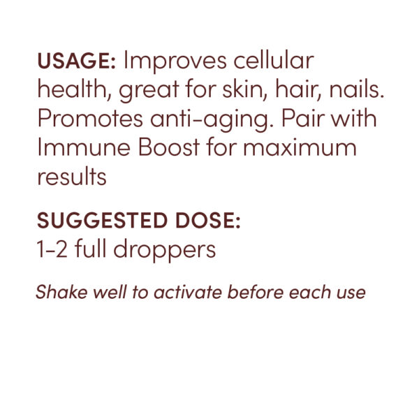 Anti-Aging Support - Image 3