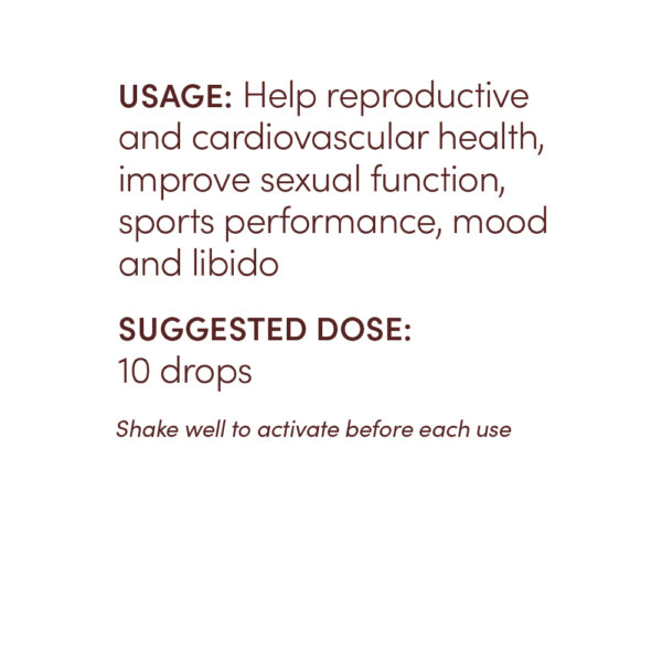 Male Hormone Support - Image 3