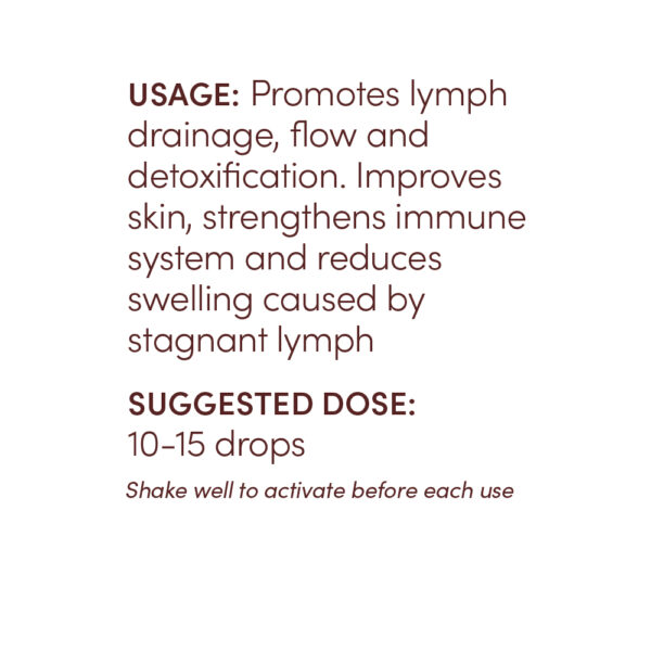 Lymphatic Drainage Tincture - Image 3