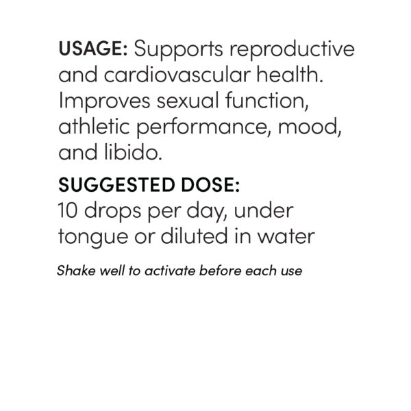 Male Hormone Support - Image 3