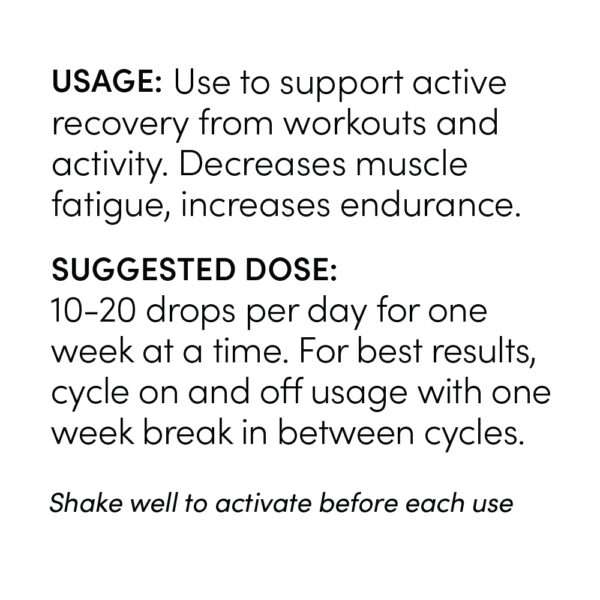 Recovery Support - Image 3